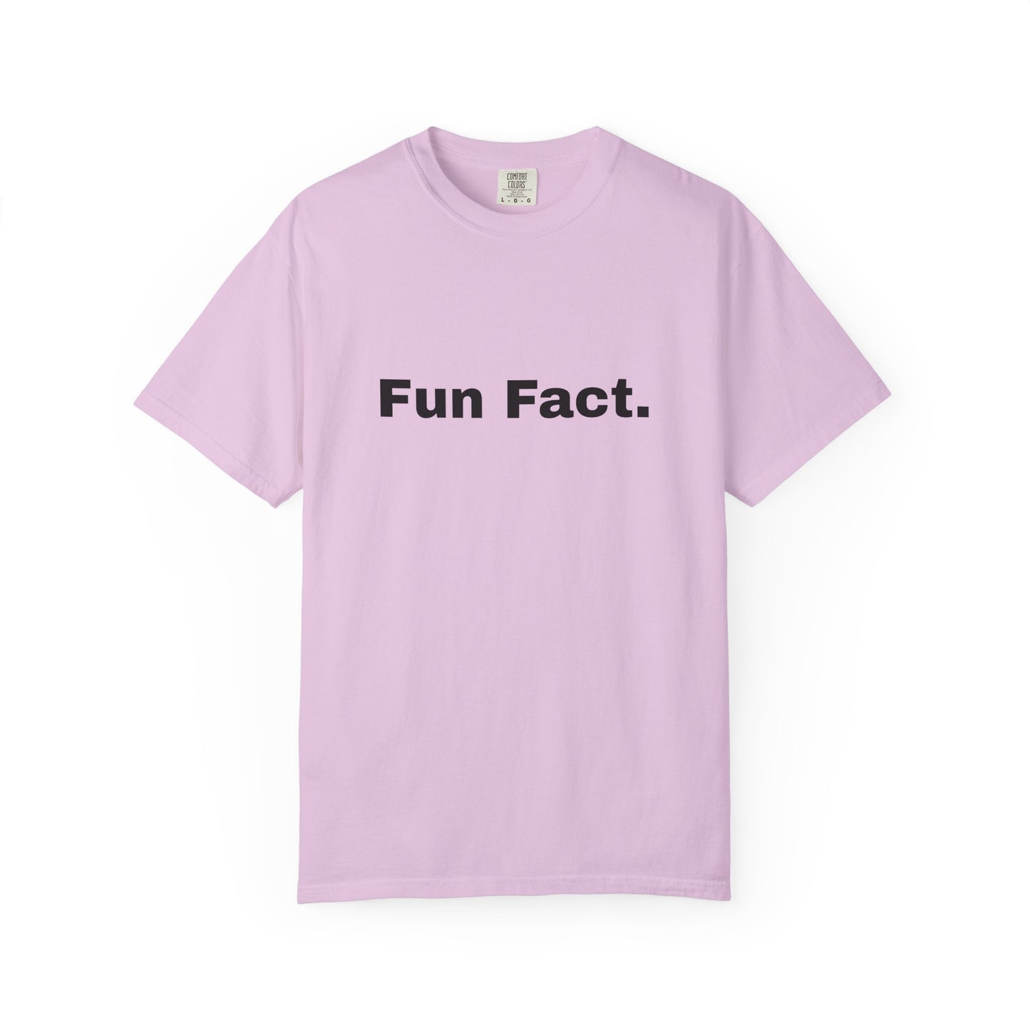 Fun Fact. I don't Care. T-Shirt