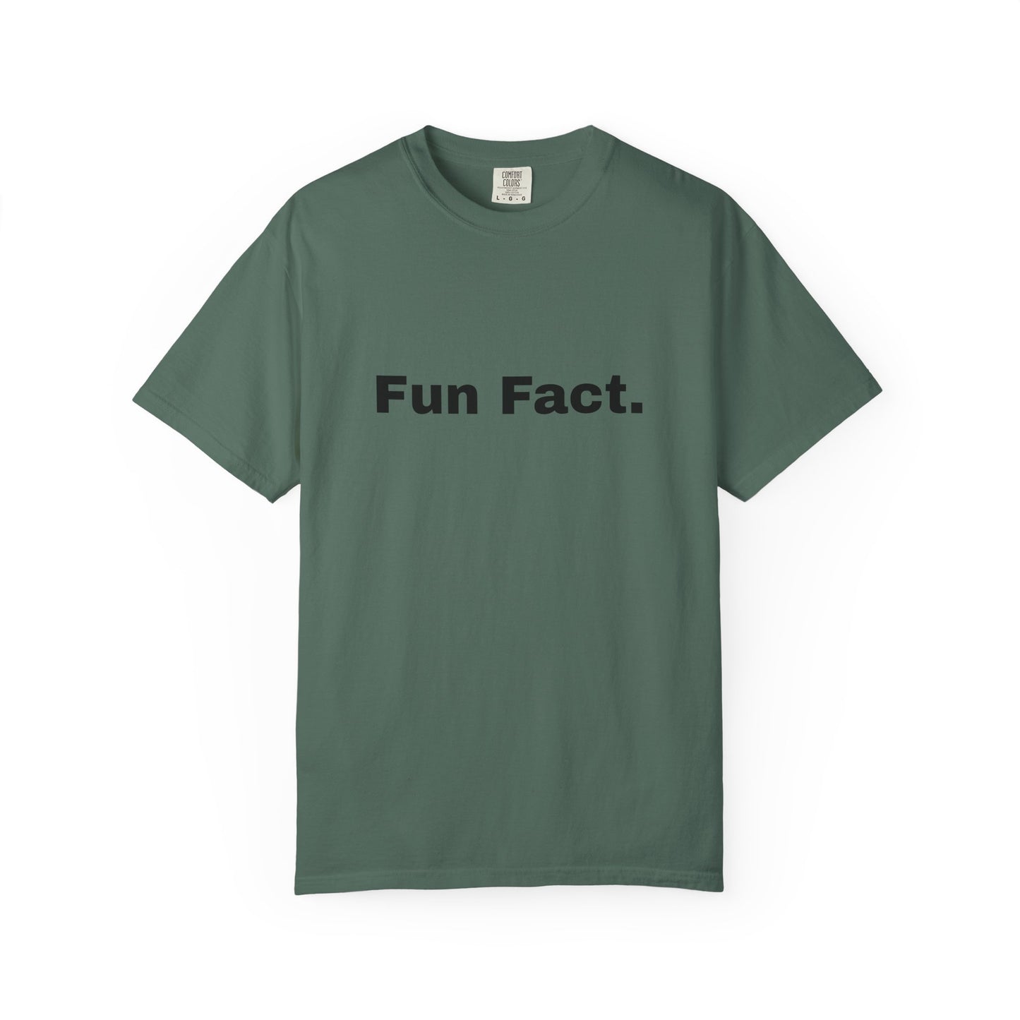 Fun Fact. I don't Care. T-Shirt