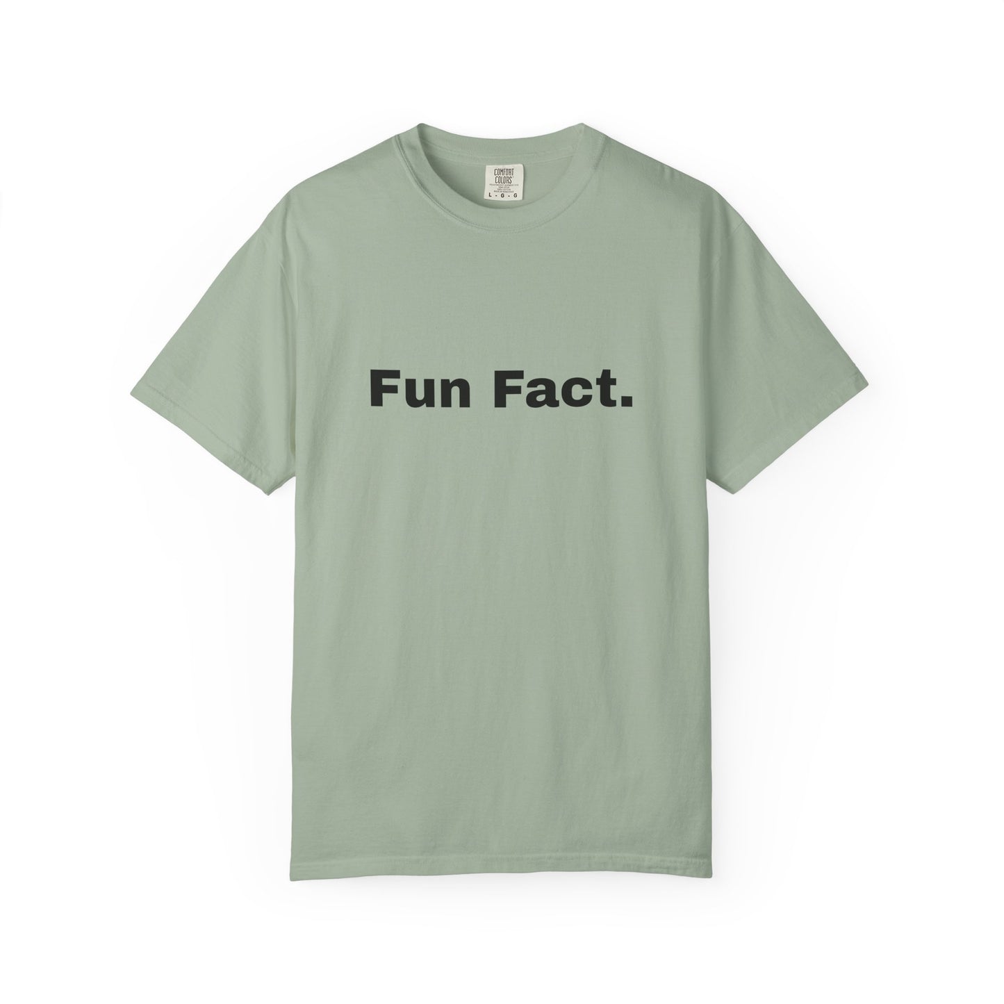 Fun Fact. I don't Care. T-Shirt